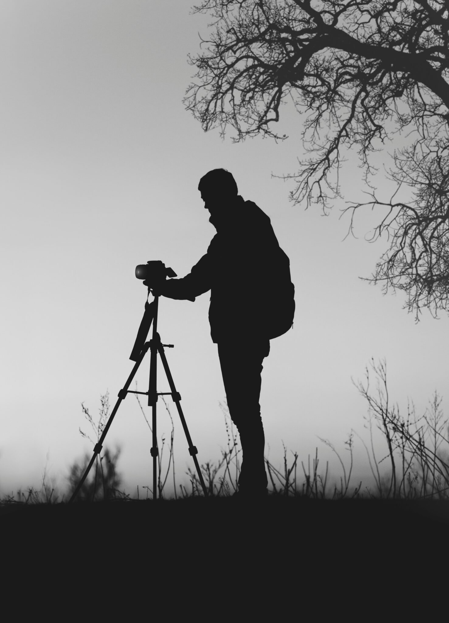 the nigmatic yefevn5cdly unsplash